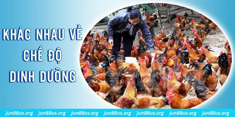 go88 club xổ số thứ sáu hàng tuần