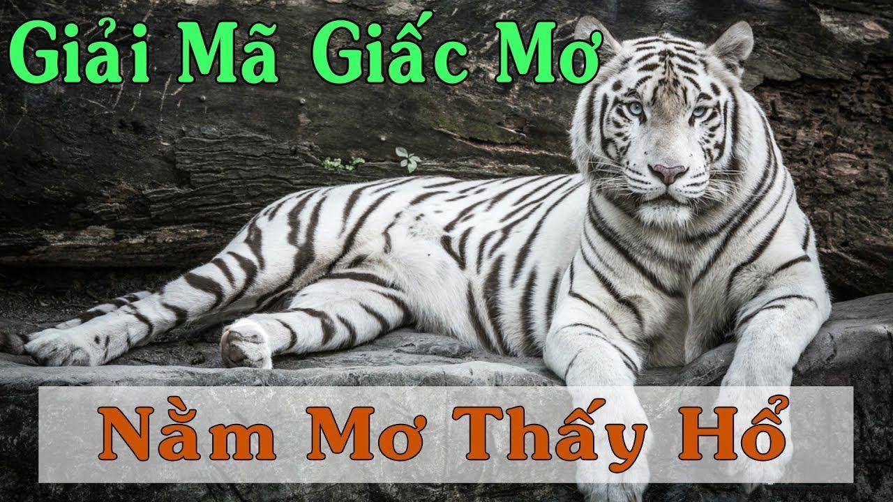 go88 club xổ số miền trung