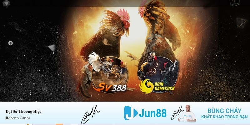 go88 club xổ số miền nam hàng tuần