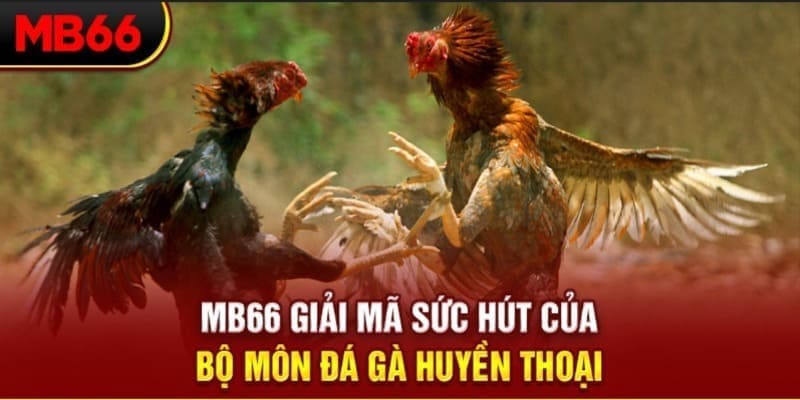 go88 club long bảo trong baccarat là gì