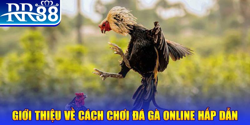 go88 club nổ hũ 2 mặt là gì
