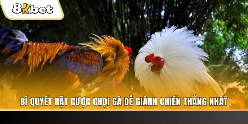 go88 club may club nổ hũ