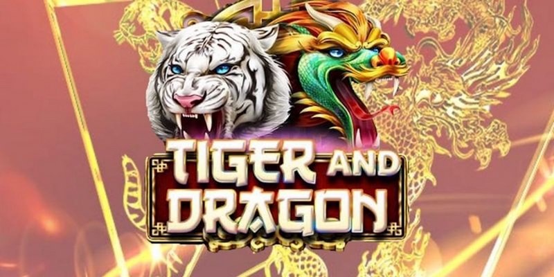go88 club cá cược tiếng anh là gì