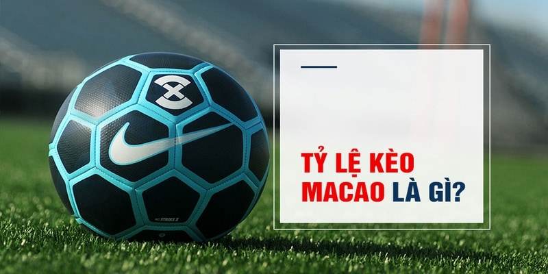 go88 club Trăm Knorr
